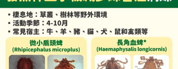 被蜱蟲咬到致死率5~15% ! 70多歲男「全身無力、發燒、血小板低下」通報「血小板減少綜合症」